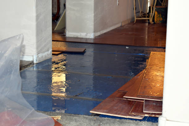 Professional Water Damage Restoration technician working in Greens Fork, IN